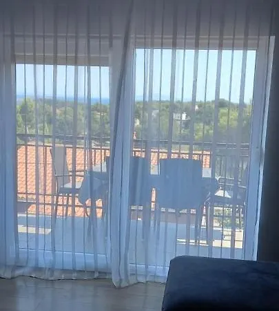 Zajec דירה